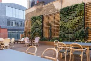 outdoor area