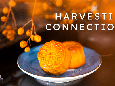 Cultural Diversity Drives Global Business Growth