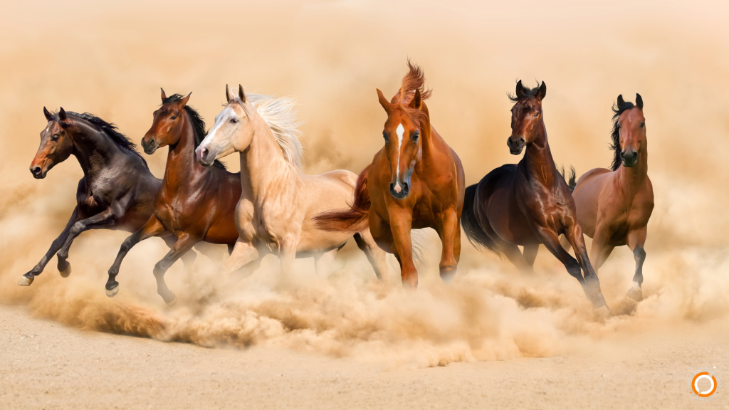 A Modern Reading of the Fire Horse Year