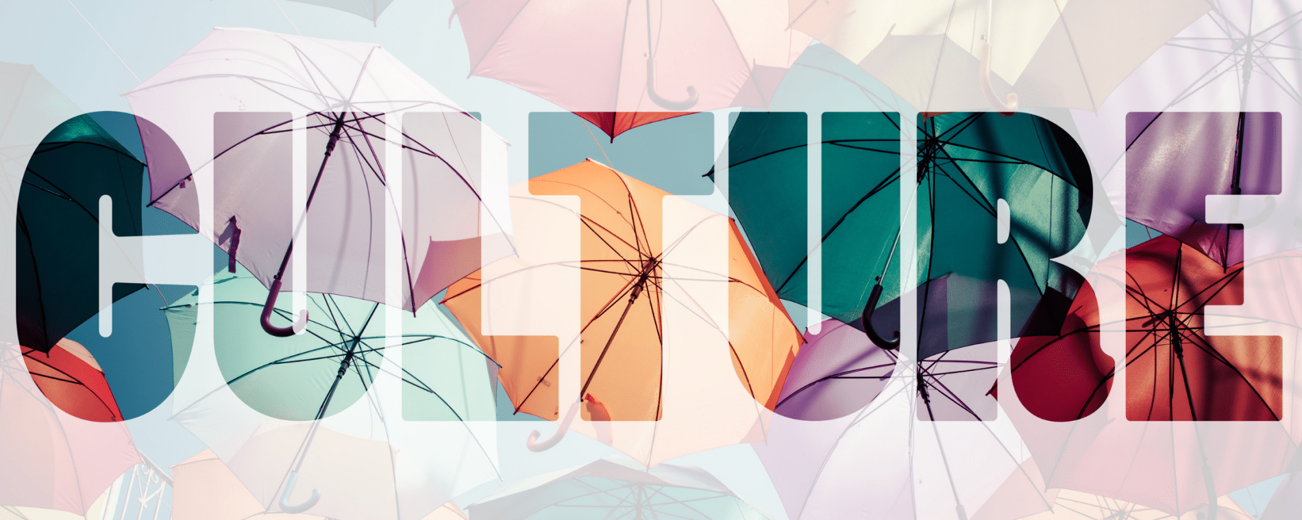 The Unspoken Cultural Rules We Learn at Work (Without Training)